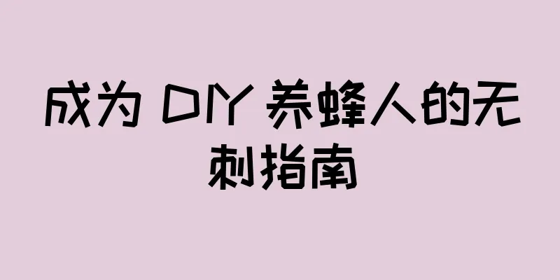 成为 DIY 养蜂人的无刺指南