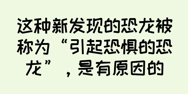 这种新发现的恐龙被称为“引起恐惧的恐龙”，是有原因的