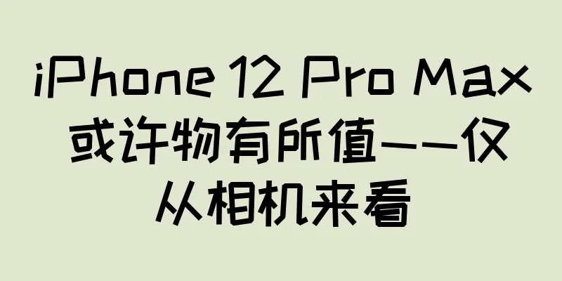 iPhone 12 Pro Max 或许物有所值——仅从相机来看