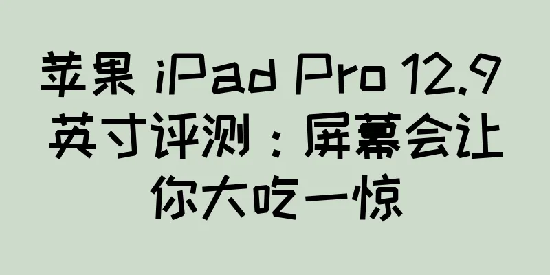 苹果 iPad Pro 12.9 英寸评测：屏幕会让你大吃一惊