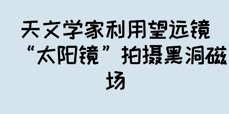 天文学家利用望远镜“太阳镜”拍摄黑洞磁场
