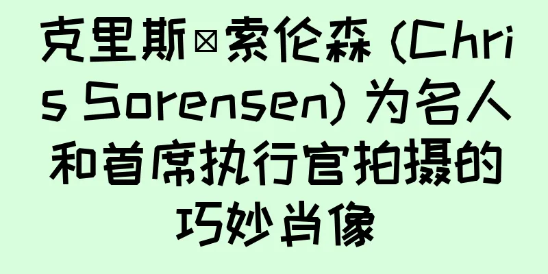 克里斯·索伦森 (Chris Sorensen) 为名人和首席执行官拍摄的巧妙肖像