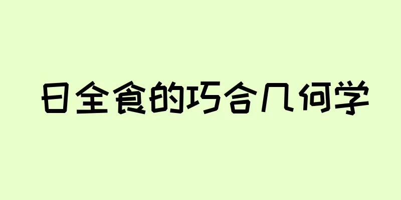 日全食的巧合几何学