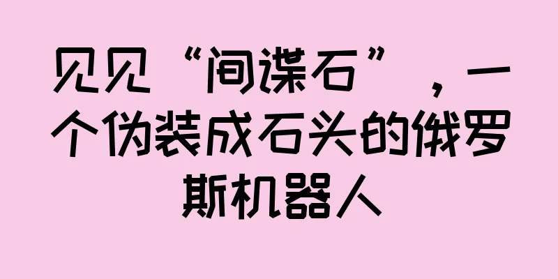见见“间谍石”，一个伪装成石头的俄罗斯机器人