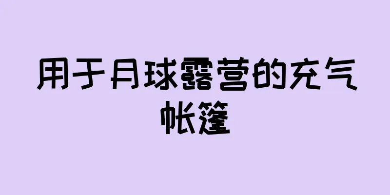 用于月球露营的充气帐篷