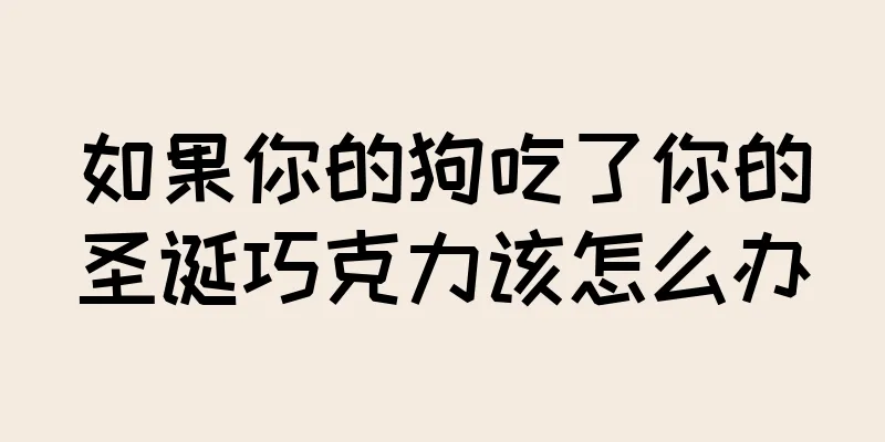 如果你的狗吃了你的圣诞巧克力该怎么办