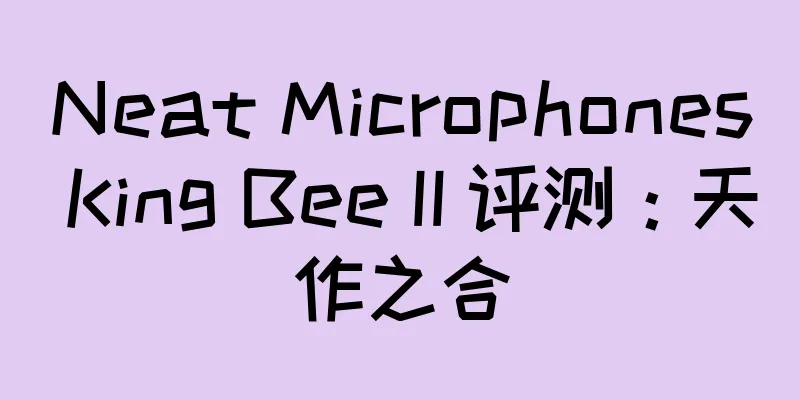 Neat Microphones King Bee II 评测：天作之合
