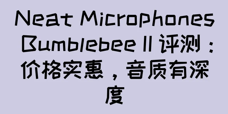Neat Microphones Bumblebee II 评测：价格实惠，音质有深度