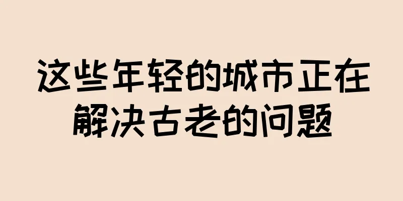 这些年轻的城市正在解决古老的问题