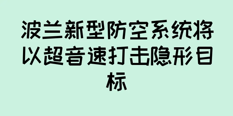 波兰新型防空系统将以超音速打击隐形目标