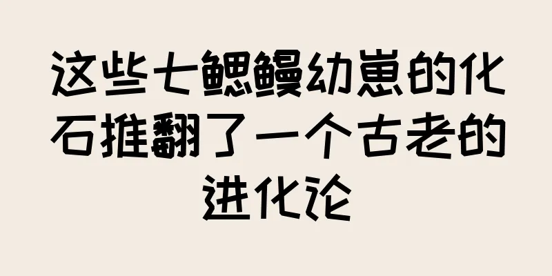 这些七鳃鳗幼崽的化石推翻了一个古老的进化论