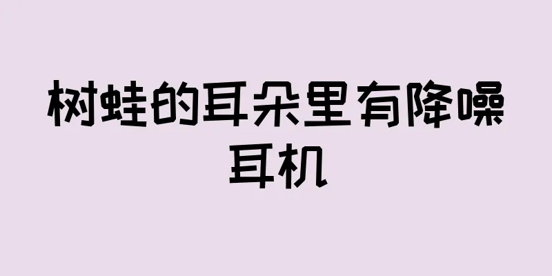 树蛙的耳朵里有降噪耳机