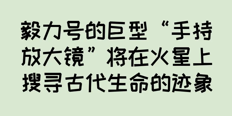 毅力号的巨型“手持放大镜”将在火星上搜寻古代生命的迹象