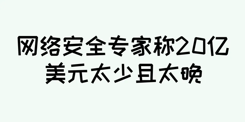 网络安全专家称20亿美元太少且太晚