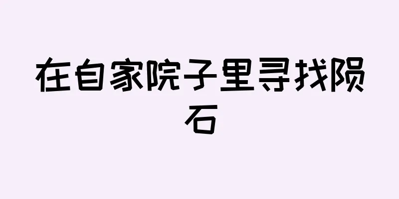 在自家院子里寻找陨石