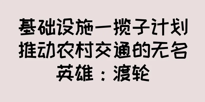 基础设施一揽子计划推动农村交通的无名英雄：渡轮