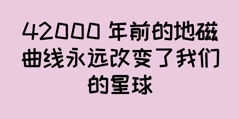 42000 年前的地磁曲线永远改变了我们的星球