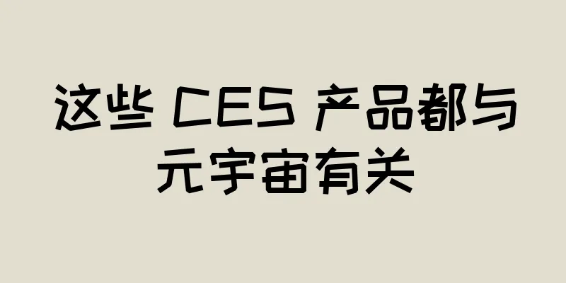这些 CES 产品都与元宇宙有关