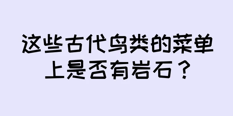 这些古代鸟类的菜单上是否有岩石？