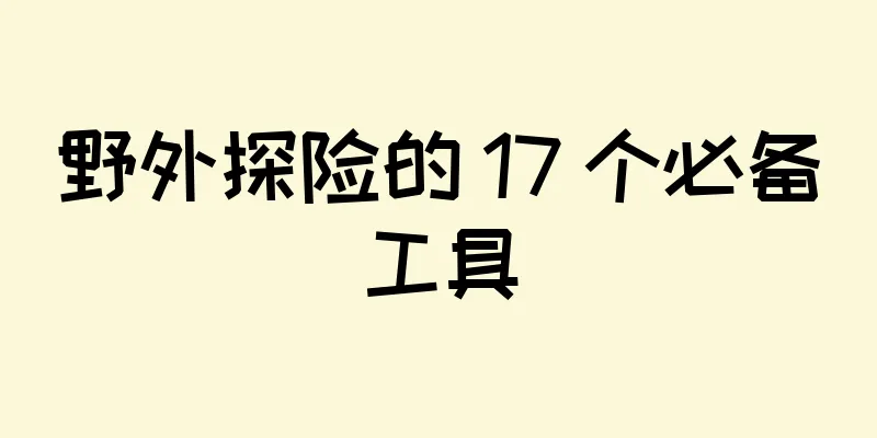 野外探险的 17 个必备工具