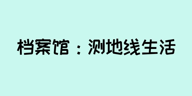 档案馆：测地线生活