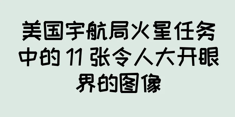 美国宇航局火星任务中的 11 张令人大开眼界的图像
