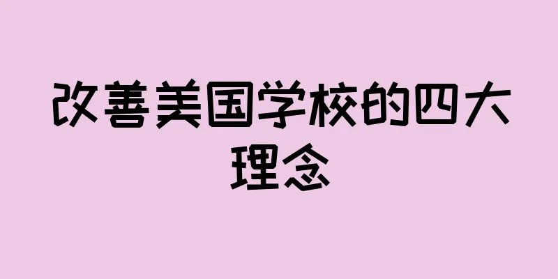 改善美国学校的四大理念