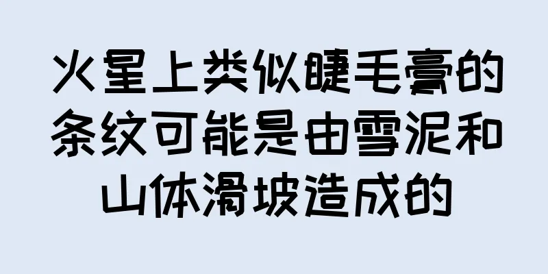 火星上类似睫毛膏的条纹可能是由雪泥和山体滑坡造成的