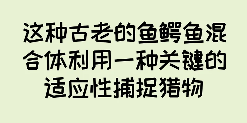 这种古老的鱼鳄鱼混合体利用一种关键的适应性捕捉猎物