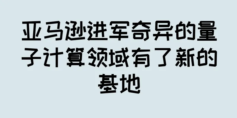 亚马逊进军奇异的量子计算领域有了新的基地