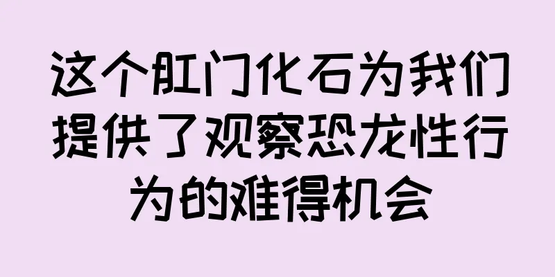 这个肛门化石为我们提供了观察恐龙性行为的难得机会