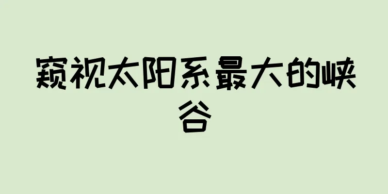 窥视太阳系最大的峡谷