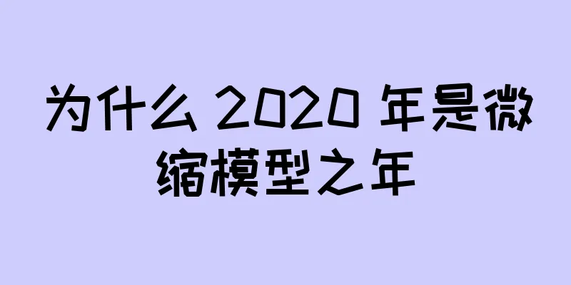 为什么 2020 年是微缩模型之年