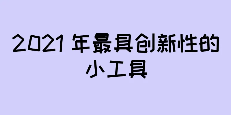 2021 年最具创新性的小工具