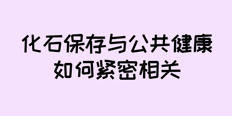 化石保存与公共健康如何紧密相关