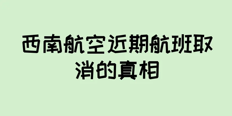西南航空近期航班取消的真相