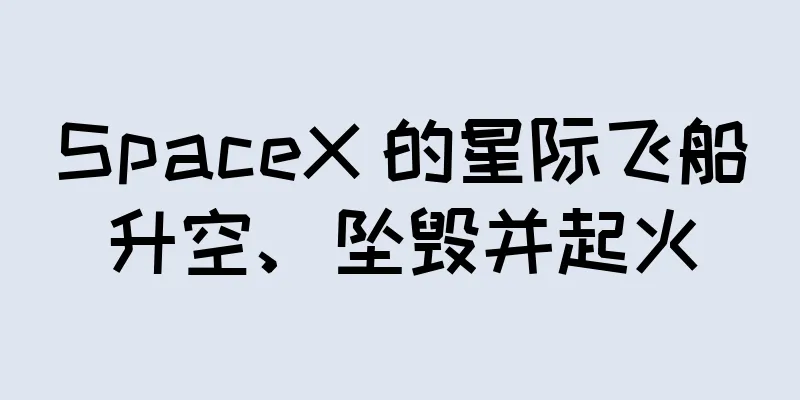 SpaceX 的星际飞船升空、坠毁并起火