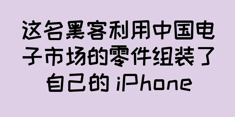 这名黑客利用中国电子市场的零件组装了自己的 iPhone