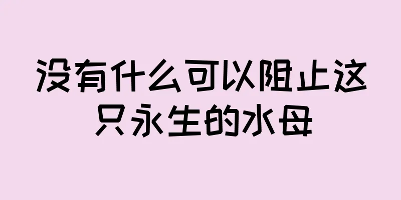 没有什么可以阻止这只永生的水母