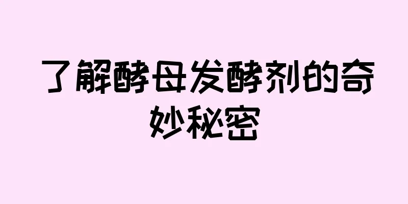了解酵母发酵剂的奇妙秘密