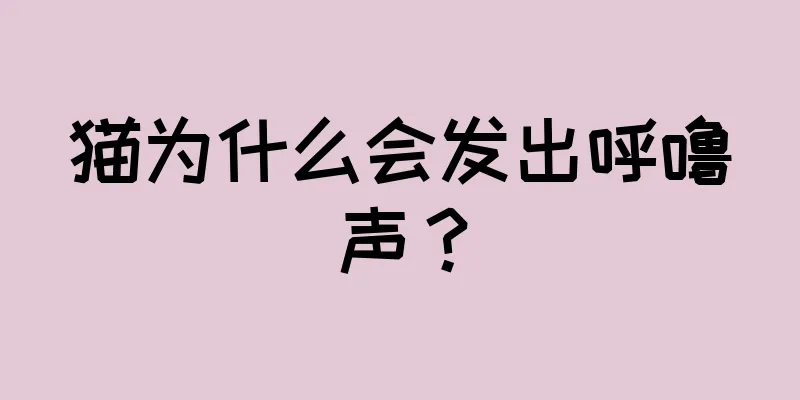 猫为什么会发出呼噜声？