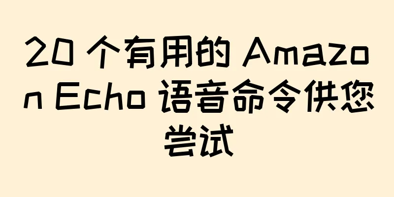 20 个有用的 Amazon Echo 语音命令供您尝试