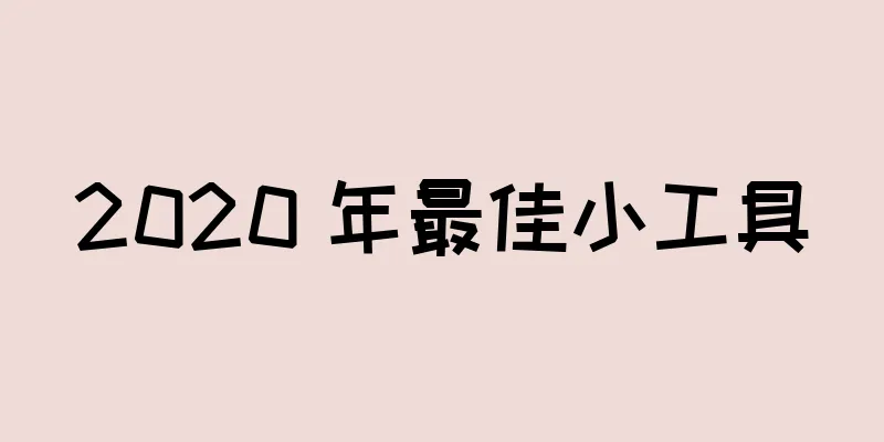2020 年最佳小工具