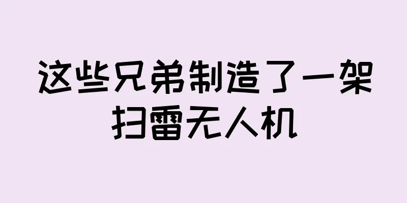 这些兄弟制造了一架扫雷无人机