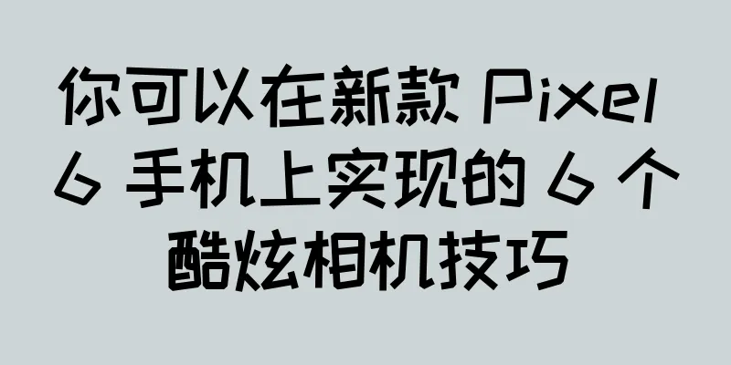 你可以在新款 Pixel 6 手机上实现的 6 个酷炫相机技巧