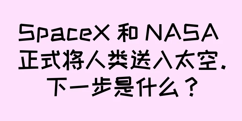 SpaceX 和 NASA 正式将人类送入太空。下一步是什么？