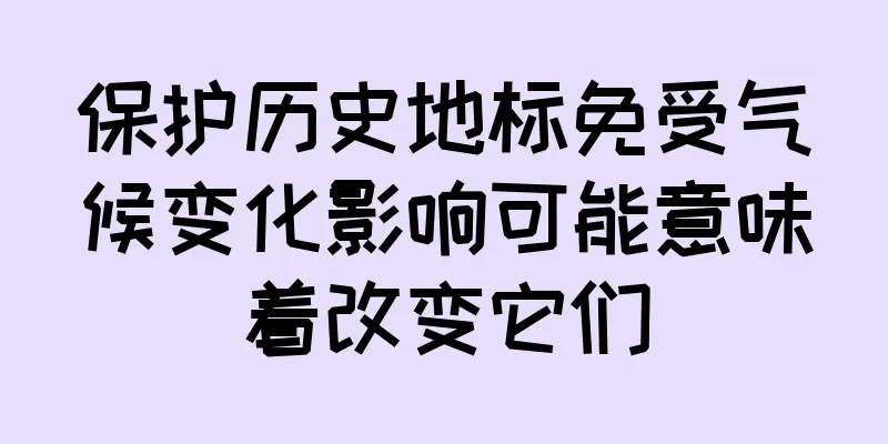 保护历史地标免受气候变化影响可能意味着改变它们