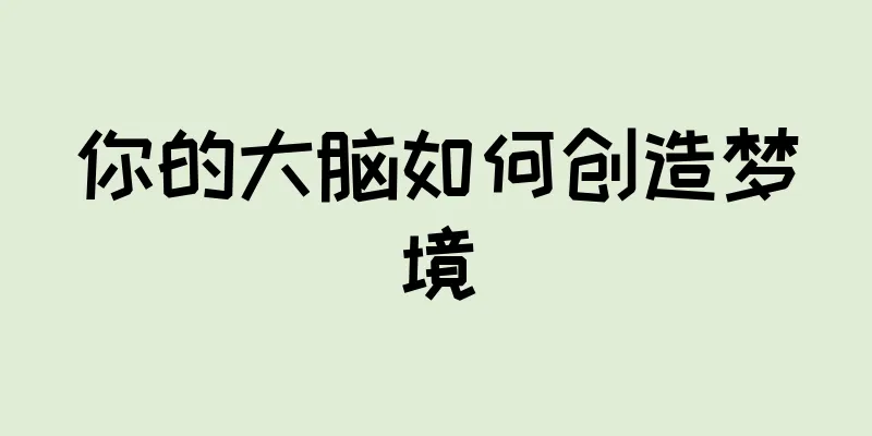 你的大脑如何创造梦境