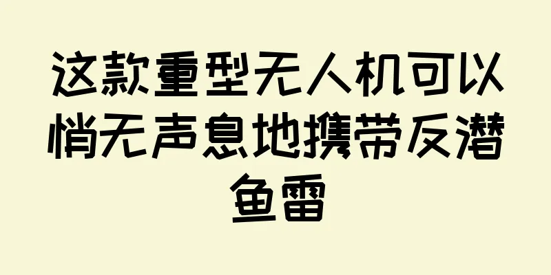 这款重型无人机可以悄无声息地携带反潜鱼雷
