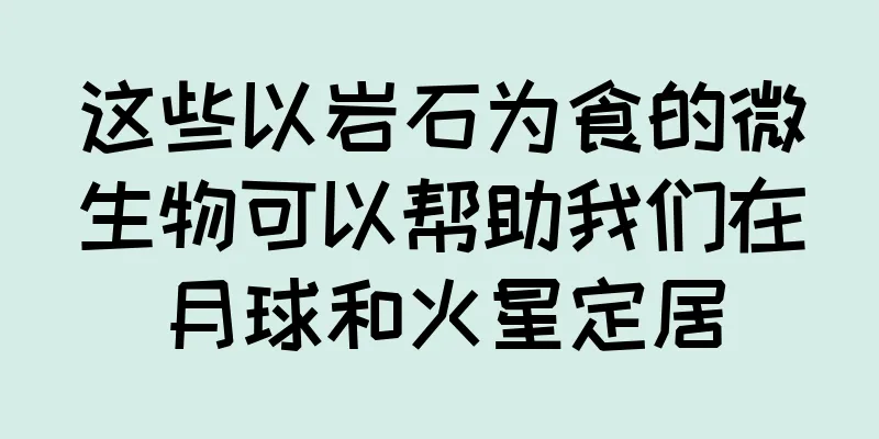 这些以岩石为食的微生物可以帮助我们在月球和火星定居